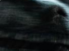 https://image.noelshack.com/fichiers/2022/47/7/1669579305-33-dftswtaf.png