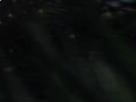 https://image.noelshack.com/fichiers/2022/47/7/1669579336-54-dftswtaf.png