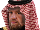 https://image.noelshack.com/fichiers/2022/48/1/1669661027-saudi-conor.png