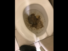 https://image.noelshack.com/minis/2022/48/2/1669726160-a33a8516-2eea-4af0-86ed-9ff9bbafa0c9.png