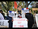 https://image.noelshack.com/fichiers/2022/48/5/1669994962-la-manifestation-anti-corrida-a-paris-le-19-novembre-photo-afp-julien-de-rosa-1668862569.jpg