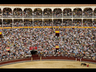 https://image.noelshack.com/fichiers/2022/48/5/1670000975-madrid-bullfighting-corrida-de-toros.jpg