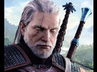https://image.noelshack.com/fichiers/2022/48/7/1670166361-the-witcher.jpg