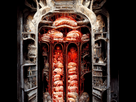 https://image.noelshack.com/fichiers/2022/49/2/1670365868-oz-a-palace-made-of-meat-peaces-hans-ruedi-giger-e4056988-e9ac-48b4-92a3-2bfff481c239.jpg