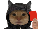 https://image.noelshack.com/fichiers/2022/49/3/1670419368-chat-capuche-rouge.png