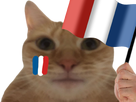https://image.noelshack.com/fichiers/2022/49/3/1670420155-chat-supporter-francais.png