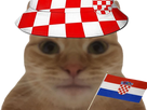 https://image.noelshack.com/fichiers/2022/49/5/1670597558-chat-croatie.png