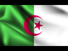 https://image.noelshack.com/fichiers/2022/49/7/1670714317-1228886-drapeau-algerie-3d-vectoriel.jpg