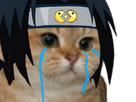 https://image.noelshack.com/fichiers/2022/50/2/1670957424-chat-sasuke-cry.png