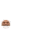 https://image.noelshack.com/minis/2022/50/3/1671048142-ezgif-com-gif-maker-1.png