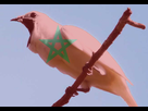 https://image.noelshack.com/fichiers/2022/50/3/1671051056-cri-maroc-cdm.png