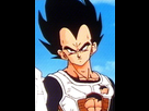 https://image.noelshack.com/fichiers/2022/50/4/1671077349-vegeta-817150-normal.jpg