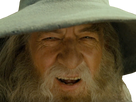 https://image.noelshack.com/fichiers/2022/50/5/1671169058-gandalff.png