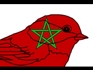 https://image.noelshack.com/fichiers/2022/50/6/1671290866-maroc.png