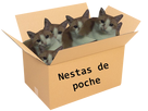 https://image.noelshack.com/minis/2022/51/1/1671423531-nestasdepoche.png