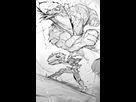 https://image.noelshack.com/fichiers/2022/51/2/1671569314-monster-hunter-zinogre-and-rajang-monster-hunter-drawn-by-niwarhythm-sample-5ed8758724728a722ca64d80c3209023.jpg