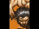 https://image.noelshack.com/fichiers/2022/51/2/1671569432-wolverine-les-origines-2.jpg