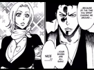 https://image.noelshack.com/fichiers/2022/51/3/1671638116-bleach.png