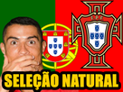 https://image.noelshack.com/fichiers/2022/51/4/1671713742-selecao-natural-portugal.png