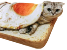 https://image.noelshack.com/fichiers/2022/51/4/1671724877-cat-bread-2-removebg-preview.png