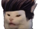 https://image.noelshack.com/fichiers/2022/51/5/1671832109-chat-men.png