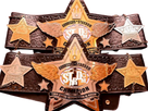 https://www.noelshack.com/2022-52-1-1672058073-goddesses-of-stardom-championship.png