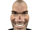 https://image.noelshack.com/fichiers/2022/52/5/1672422075-zidane3.png