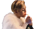 https://image.noelshack.com/fichiers/2022/52/6/1641053734-miley-cigarette.png