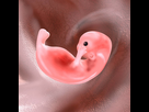 https://image.noelshack.com/minis/2022/52/6/1672502821-istockphoto-182158787-612x612.png