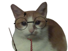 https://image.noelshack.com/minis/2022/52/6/1672512139-photogrid-1672512112959.png