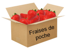 https://image.noelshack.com/minis/2023/01/1/1672617111-fraisesdepoche.png