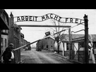 https://image.noelshack.com/fichiers/2023/01/1/1672646980-arbeit-macht-frei.png