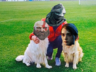 https://image.noelshack.com/minis/2023/01/1/1672684608-iaaaaa.png