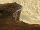 https://image.noelshack.com/fichiers/2023/01/2/1672718481-11-a9qhh1fw.png