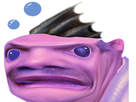 https://image.noelshack.com/fichiers/2023/02/2/1673305290-4c96f3e3-79b4-4ec5-b2c7-ed868ede6660.png