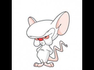 https://image.noelshack.com/fichiers/2023/02/3/1673392115-cortex.jpg