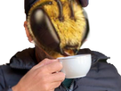 https://image.noelshack.com/fichiers/2023/02/4/1673532940-913f62f7-0ffd-4925-9aaa-3dd9bab04e35.png