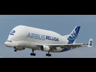 https://image.noelshack.com/fichiers/2023/02/5/1673616463-beluga-ga2d53ac08-1920-1.jpg