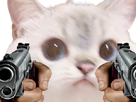 https://image.noelshack.com/minis/2023/02/7/1673740943-hrkytkftgkfgk.png