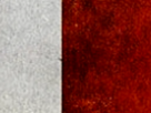 https://image.noelshack.com/fichiers/2023/02/7/1673747099-39-43nh6ecj.png