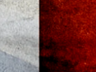 https://image.noelshack.com/fichiers/2023/02/7/1673747115-47-43nh6ecj.png