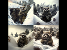 https://image.noelshack.com/fichiers/2023/03/3/1674053087-polix-army-of-military-racoon-in-trenches-bright-in-the-snow-18ccfa22-c0ff-4e2e-a6b1-a6b585d1ba4b.png