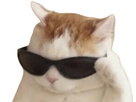 https://image.noelshack.com/minis/2023/03/4/1674148400-16541856502.png