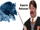 https://image.noelshack.com/fichiers/2023/04/1/1674430646-benchandpottercochonpatronum.png