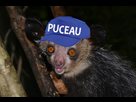 https://image.noelshack.com/fichiers/2023/04/3/1674656851-image.png