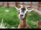 https://image.noelshack.com/fichiers/2023/04/4/1674740367-article1-istock.jpg