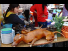 https://image.noelshack.com/fichiers/2023/04/4/1674761223-manger-chien-vietnam-l-1bxz6u.jpeg