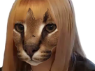 https://image.noelshack.com/minis/2023/04/5/1674820405-ok.png