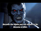 https://image.noelshack.com/fichiers/2023/04/6/1674909373-image.png