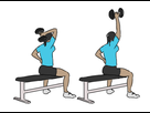 https://image.noelshack.com/minis/2023/05/1/1675093010-triceps-extension-d.png